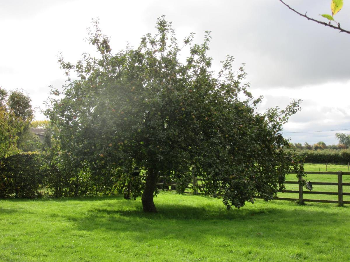 Weston Hill Farm Bed & Breakfast Moreton Pinkney Eksteriør bilde